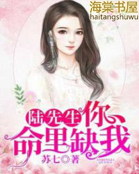 陆先生你的命里缺我小说